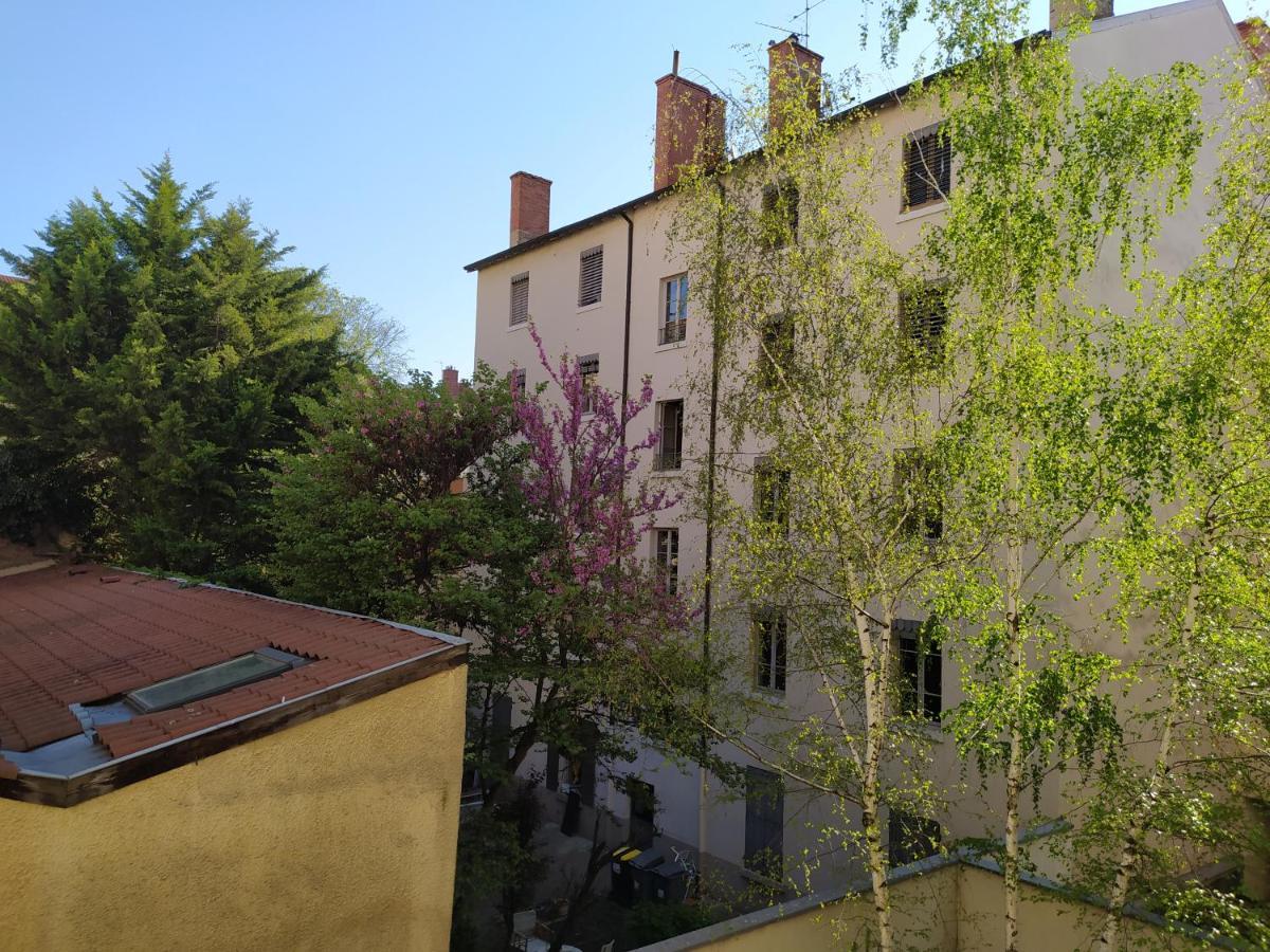 Berge Du Rhone, Centre Lyon, Espace De Travail, Tout A Pied, Universite Lyon 2 Et Lyon 3, Ideal Voyage D'Affaires, Tourisme, Loisirs מראה חיצוני תמונה