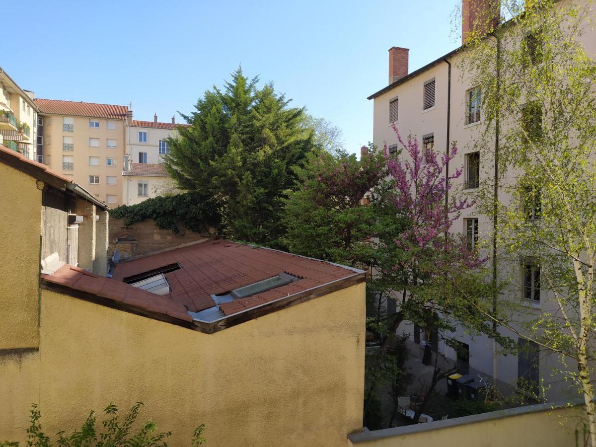 Berge Du Rhone, Centre Lyon, Espace De Travail, Tout A Pied, Universite Lyon 2 Et Lyon 3, Ideal Voyage D'Affaires, Tourisme, Loisirs מראה חיצוני תמונה