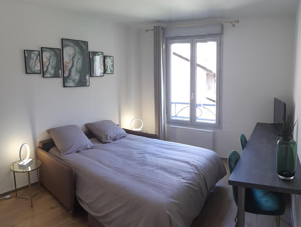 Berge Du Rhone, Centre Lyon, Espace De Travail, Tout A Pied, Universite Lyon 2 Et Lyon 3, Ideal Voyage D'Affaires, Tourisme, Loisirs מראה חיצוני תמונה